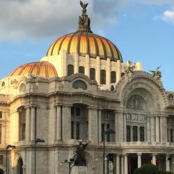 The Museum of Fine Arts, Mexikóváros