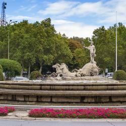 Fontana del Nettuno