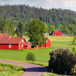 Småland 47 gazde/camere de închiriat