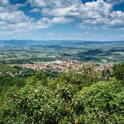 Sokobanja Spa 9 lägenhetshotell