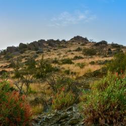 Al Baha Province 92 готелів з парковкою