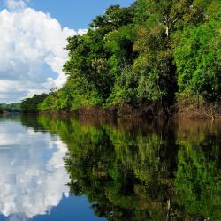 Amazonas 150 tanich hoteli