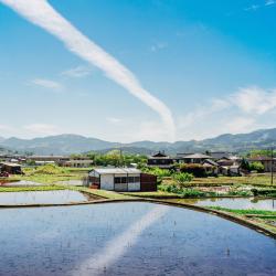 Oita 26 pet-friendly hotel