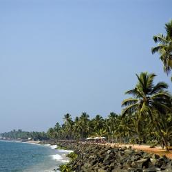 Kerala 1358 pet-friendly hotels