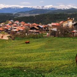 Rhodope-bjergene 874 hoteller med parkering