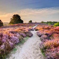 Veluwe 660 povoljnih hotela