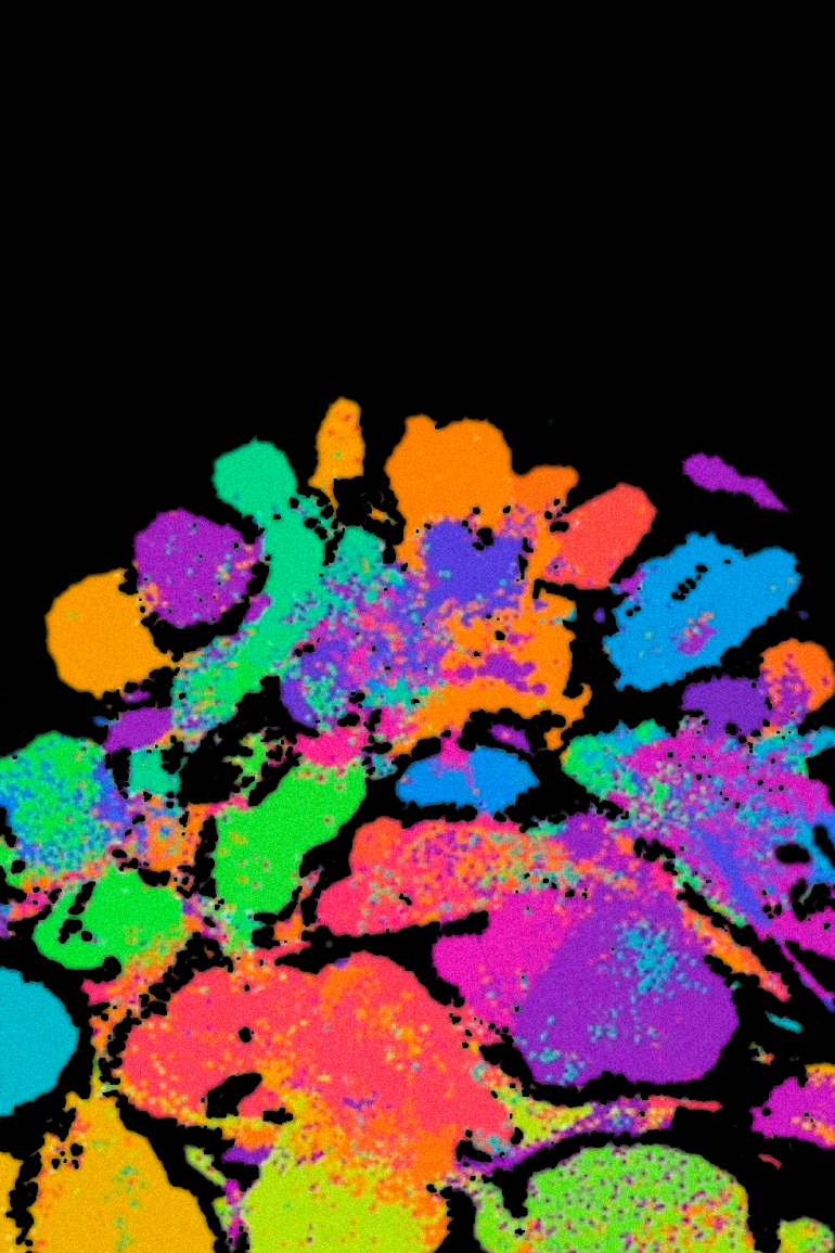 Multi-tissue visualization with different colors corresponding to various cell types