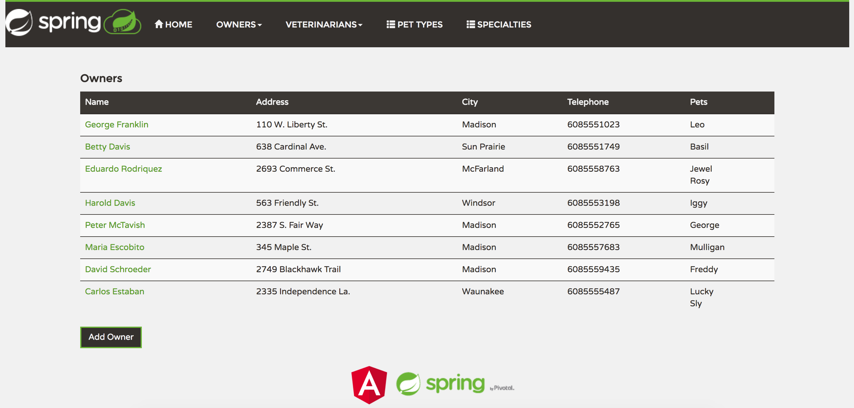 spring-petclinic-angular2