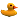 :rubber_ducky: