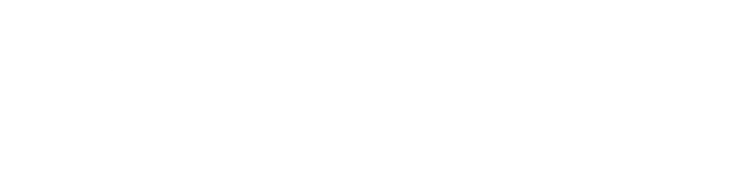 Fortune Magazine Logo