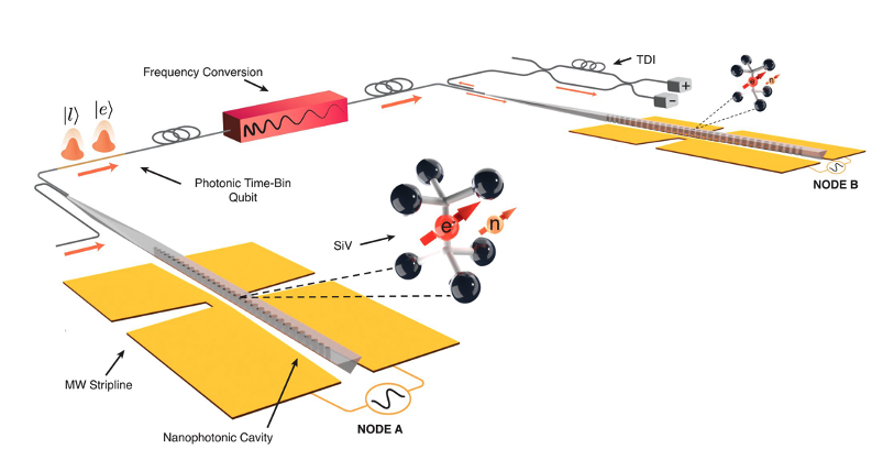 Figure 2 - A schematic overview of the devices used in the network. SiV located inside one photonic device (lower left) were entangled with photons which traveled through telecom fiber (top) before interacting with a quantum memory in a different location (right). The end result was entanglement generated between two spatially separated quantum memories.