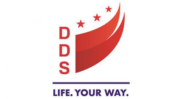 DDS Logo