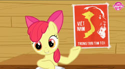 Size: 720x398 | Tagged: safe, edit, edited screencap, screencap, apple bloom, earth pony, g4, my little pony: friendship is magic, ponyville confidential, adorabloom, bow, cute, grin, hair bow, letupita725hd, raised hoof, smiling, teeth, vietnam