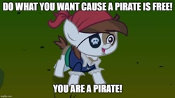 Size: 888x499 | Tagged: safe, edit, edited screencap, screencap, pipsqueak, earth pony, pony, g4, luna eclipsed, my little pony: friendship is magic, caption, image macro, imgflip, lazytown, pirate pipsqueak, solo, song reference, text, you are a pirate