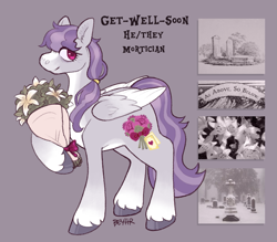 Size: 1247x1094 | Tagged: safe, artist:beyhr, oc, oc only, oc:get-well-soon, pegasus, pony, bags under eyes, blaze (coat marking), bouquet, bouquet of flowers, coat markings, colored belly, colored hooves, colored wings, colored wingtips, eyelashes, facial markings, flower, folded wings, gradient legs, gravestone, graveyard, gray coat, gray hooves, hair tie, hoof hold, hooves, lily (flower), long mane, long mane male, looking back, male, male oc, mane tie, moodboard, oc redesign, pale belly, pegasus oc, pink eyes, ponytail, profile, purple mane, purple tail, red eyes, shiny hooves, signature, smiling, socks (coat markings), solo, stallion, stallion oc, standing, standing on three hooves, tail, text, three toned wings, tied mane, two toned mane, two toned tail, white wingtips, wings