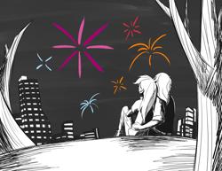 Size: 3300x2550 | Tagged: safe, anonymous artist, rainbow dash, oc, equestria girls, g4, black and white, canon x oc, canterlot city, city, duo, duo male and female, female, fireworks, grayscale, male, monochrome, outdoors, shipping