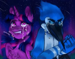 Size: 1700x1333 | Tagged: safe, artist:chrymind, twilight sparkle, alicorn, bird, blue jay, pony, g4, aeroplanes and meteor showers, chest fluff, crossover, crossover shipping, crying, duo, duo male and female, female, male, mare, mordecai, regular show, ship:mordetwi, shipping, shooting star, straight, twilight sparkle (alicorn)