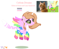 Size: 600x503 | Tagged: safe, artist:nightlightapocalypse, artist:selenaede, oc, oc:cotton dreams, alicorn, cat, cat pony, hybrid, original species, pony, rainicorn, adventure time, base used, cat nose, cat tail, coat markings, colored horn, colored pinnae, colored wings, crossover, crossover ship offspring, crossover shipping, cupiosexual pride flag, ear piercing, earring, facial markings, fangs, female, flying, freckles, goose (marvel), green sclera, hazel eyes, horn, implied bestiality, infidelity, interspecies, interspecies offspring, jewelry, lady rainicorn, male, mare, misspelling, multicolored wings, non-mlp oc, non-mlp shipping, offspring, pale belly, parent:goose (marvel), parent:lad, paws, piercing, rainbow wings, shipping, simple background, spread wings, star (coat marking), striped tail, tail, transparent background, wings