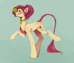 Size: 2160x1850 | Tagged: safe, artist:рецессивная аллель, roseluck, pony, g4, alternate hairstyle, balancing, behaving like a cat, braid, braided tail, collar, commission, commissioner:doom9454, concave belly, long legs, pet tag, ponies balancing stuff on their nose, pony pet, ponytail, rosepet, solo, standing, tail, yarn, yarn ball