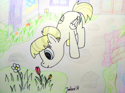 Size: 4032x3016 | Tagged: safe, artist:jakusi, summer breeze, pegasus, pony, g4, background pony, female, flower, friendship student, garden, grass, hair bun, leaning, mare, outdoors, school of friendship, signature, smelling, solo, traditional art, tulip, wings