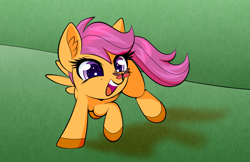 Size: 1333x866 | Tagged: safe, artist:scandianon, scootaloo, butterfly, pegasus, pony, g4, butterfly on nose, cute, cutealoo, female, filly, foal, happy, insect on nose, outdoors, running, smiling, solo, spread wings, wings