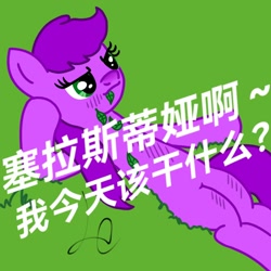 Size: 1080x1080 | Tagged: safe, oc, oc only, pony, chinese, grass, grass field