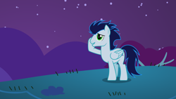 Size: 2560x1440 | Tagged: safe, soarin', pegasus, pony, g4, night, outdoors, shy, smiling, solo