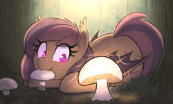 Size: 4000x2400 | Tagged: safe, artist:thebatfang, oc, oc only, oc:bella morel, bat pony, pony, bat pony oc, bat wings, bioluminescent, cute, forest, glowing mushroom, mushroom, nature, on ground, outdoors, ponerpics import, solo, tree, wings