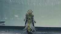 A Wizard of the Spawn of Crota