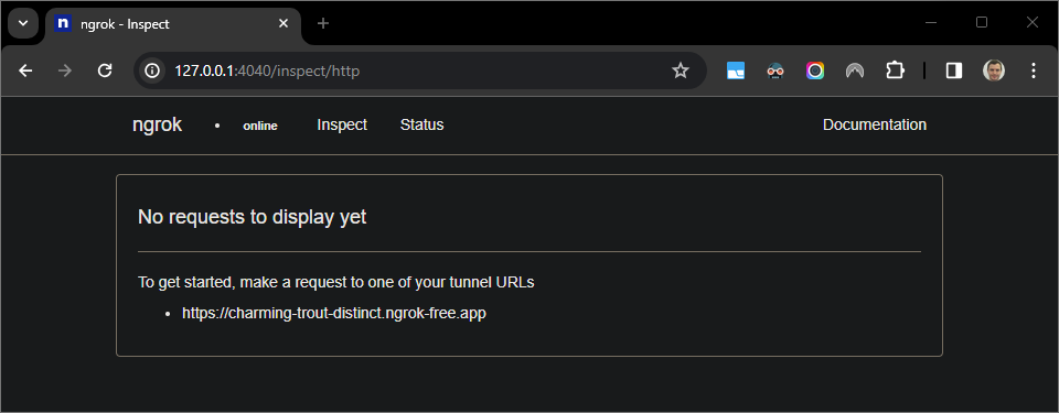 `ngrok` ऐप्लिकेशन पर होस्ट किया गया वेब इंटरफ़ेस, जो कोई एचटीटीपी अनुरोध नहीं दिखा रहा