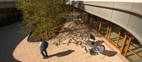 Students in Courtyard