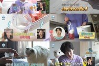 '혀열 진단' 안재현 "매우 나쁨은 아니네”→오리 먹방 (나혼산)