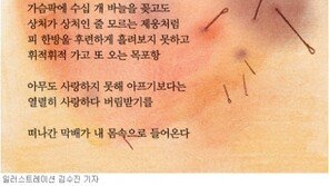 [현대시 100년-위안의 詩]김선우/‘목포항’