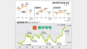 [시선집중, 이 주식]母기업 강도 높은 구조조정… 잠재위험 털고 52주 신고가