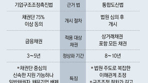 [수요논점/정임수]국회 파행에 ‘워크아웃법’ 또 아웃… 한계기업 줄도산 덮치나