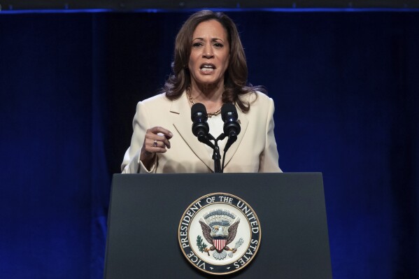 Vice President Kamala Harris speaks during the Unite Here Convention on Friday, June 21, 2024, in New York. (AP Photo/Yuki Iwamura)