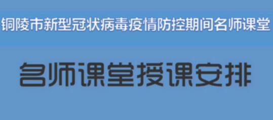 铜陵市新冠病毒疫情防控期间在线学习平台