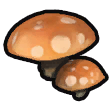 Marshroom icon.png