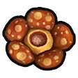 Pongsettia icon.png