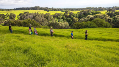 A park ranger leads a hike through the Kahuku unit of Hawaiʻi Volcanoes National Park.