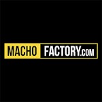 Macho Factory avatar