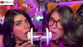 Duo Cats Em Camadas Biaural Orelha Lambe Miau ARA ARA - CorneliustheCat ASMR