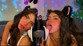 ASMR DOIS gatos flertam e lambem suas orelhas com sons em camadas de contato visual - CorneliustheCat ASMR