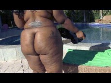 2 bbw ebony bootys gif