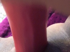 wet pussy fucked gif