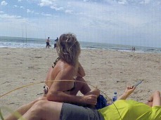 beach gif