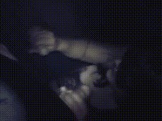 gloryhole threesome gif