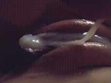 Close-up creampie gif