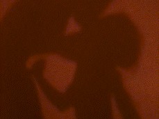 Shadow threesome sex gif