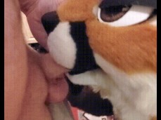 FurryBlowjob gif